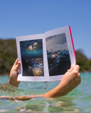 All Four "Seasons" Books (plus BONUSES)